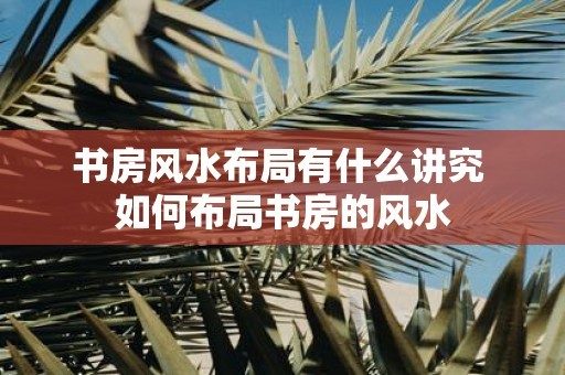 书房风水布局有什么讲究 如何布局书房的风水