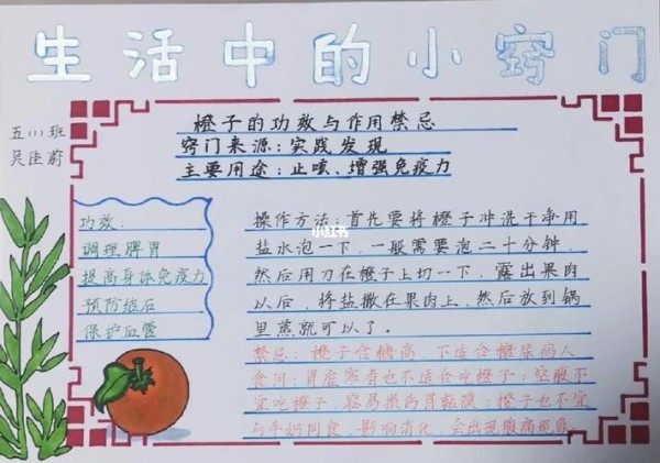 生活中小妙招手抄报