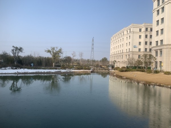 乳胶漆刷完后的墙面保养技巧与注意事项