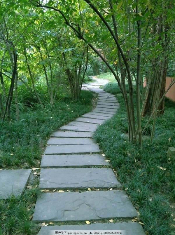 公园石板路石头路绿色秋天