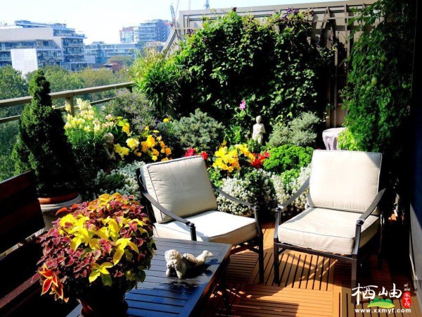 阳台花园
