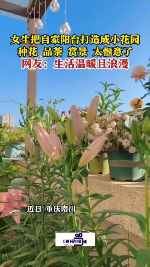 女生把自家阳台打造成小花园，种花、品茶、赏景，生活太惬意了