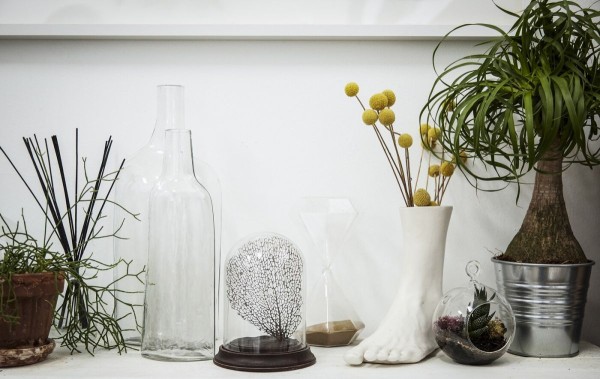 形状各异的花瓶和花盆里展示着各类植物