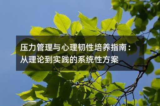 压力管理与心理韧性培养指南：从理论到实践的系统性方案