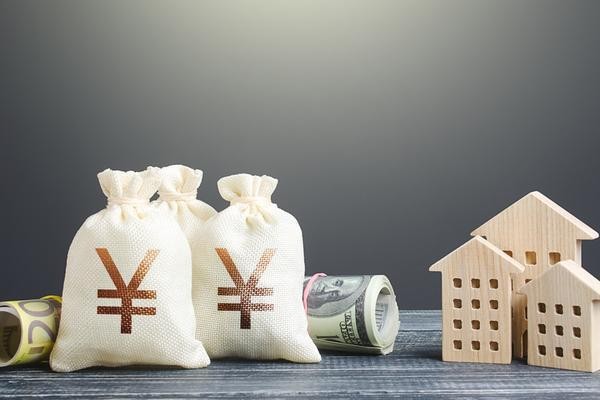 苏州项目ORG财务指标评价与投资管理策略论证报告 图1