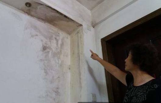 墙壁出现霉点怎么办？这几点你万万要知道