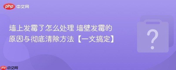 墙上发霉了怎么处理 墙壁发霉的原因与彻底清除方法【一文搞定】