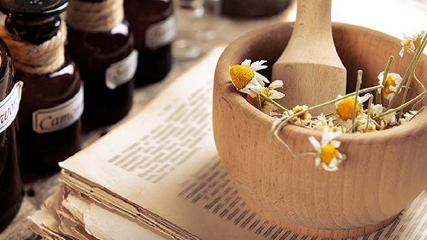 野菊花做枕头有什么效果