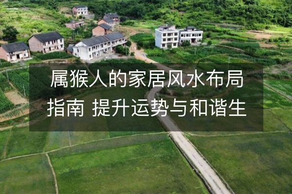 属猴人的家居风水布局指南 提升运势与和谐生活