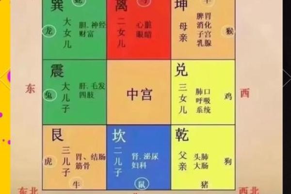 从家居风水角度探讨癌症的预防与健康提升