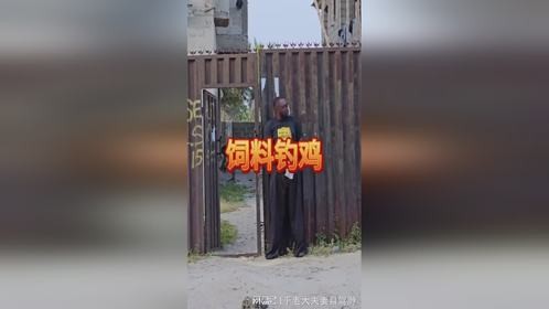 偷鸡还带 “诱饵战术”？