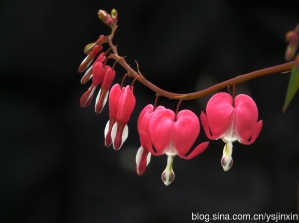 354.选一种姿态，让自己活的轻松愉快