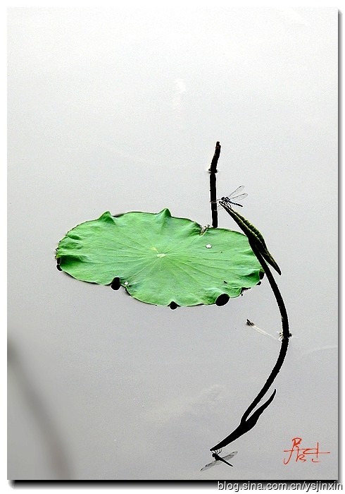 354.选一种姿态，让自己活的轻松愉快