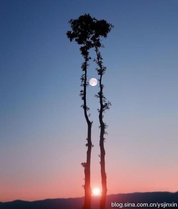 354.选一种姿态，让自己活的轻松愉快