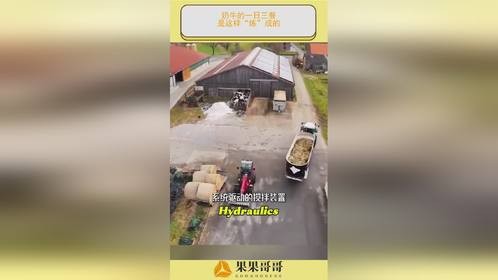 奶牛的一日三餐，是这样“炼”成的