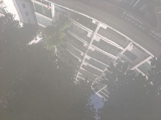 牛油果的流行之路：从南美小众水果到全球健康饮食圈的热门食材