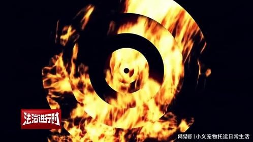 男子散落面条致人摔伤，超市赔偿19万元！江淑玲律师权威解读