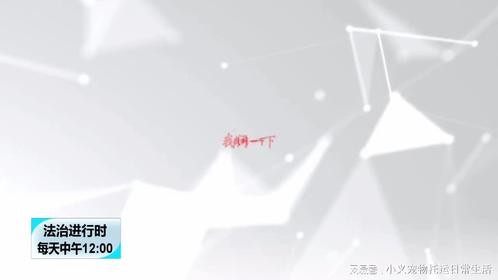 北京110：这里有人用弹弓打鸟！警察叔叔快来！