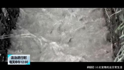 北京暴雨：居民遭水灾被困，整个派出所的民警集体出动