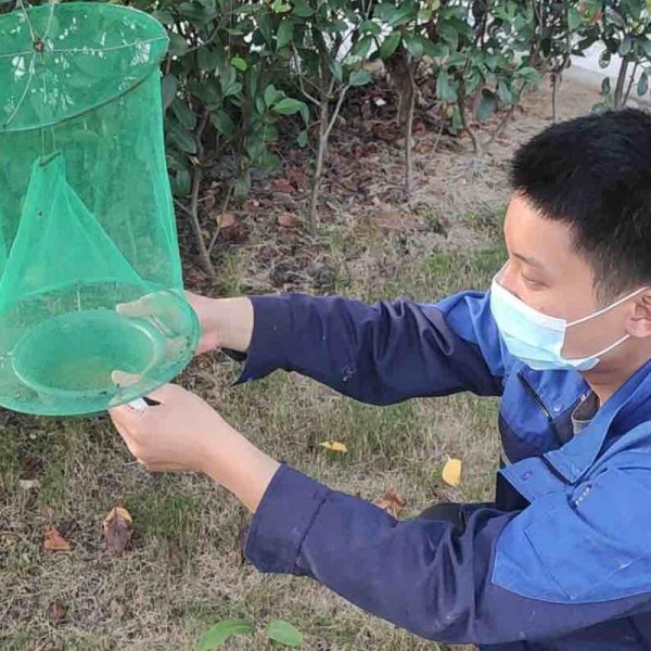 宁波古林镇灭苍蝇方法