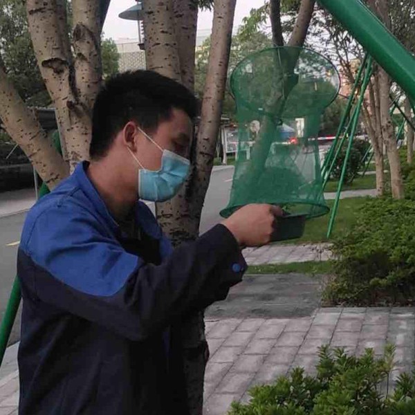 宁波古林镇灭苍蝇方法