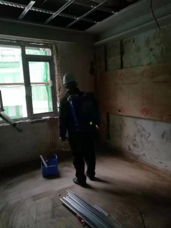 大邑办公室杀虫灭白蚁方案