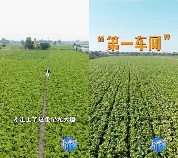 现场探秘：让信任被看见，统一老坛如何以内容共创开启透明新叙事 