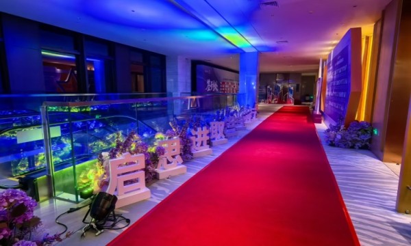 中山市户外活动策划电话