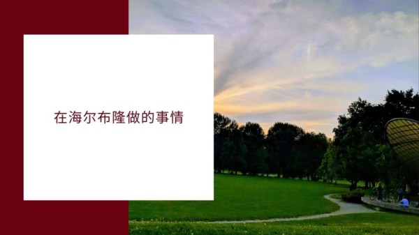 在海尔布隆做的事情