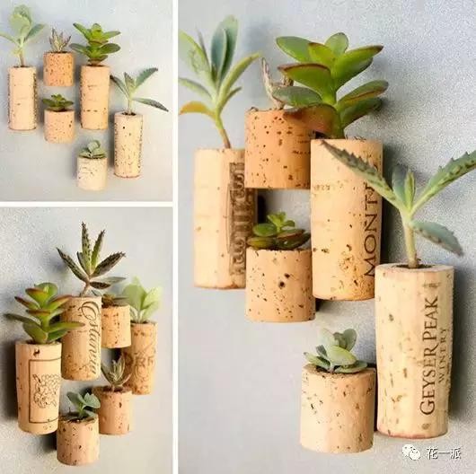 DIY绿植丨迷你植物冰箱贴！让绿色占领你家厨房的制高点~