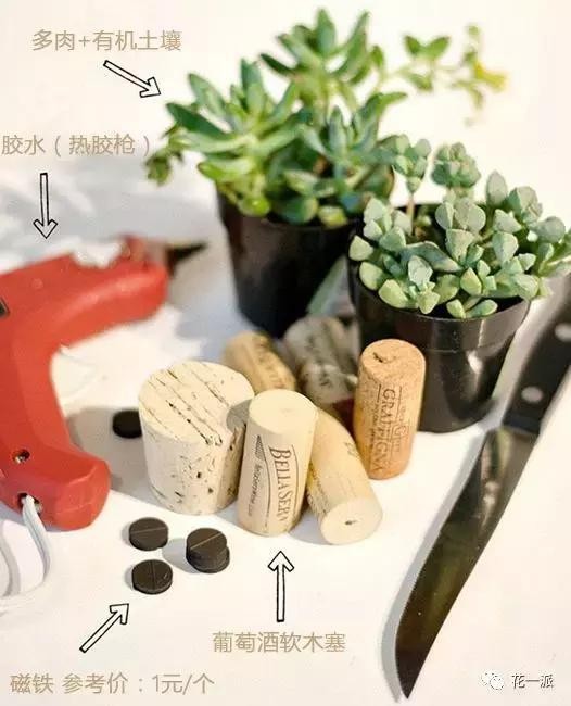 DIY绿植丨迷你植物冰箱贴！让绿色占领你家厨房的制高点~