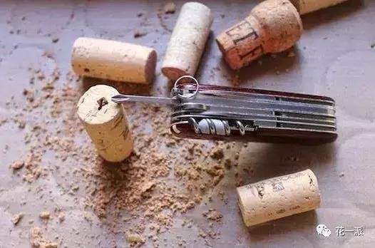 DIY绿植丨迷你植物冰箱贴！让绿色占领你家厨房的制高点~