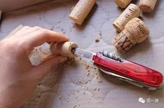 DIY绿植丨迷你植物冰箱贴！让绿色占领你家厨房的制高点~