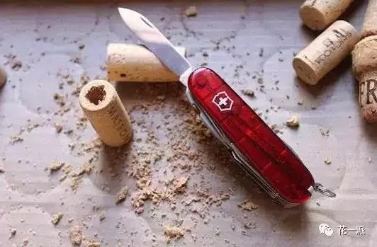 DIY绿植丨迷你植物冰箱贴！让绿色占领你家厨房的制高点~