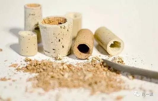 DIY绿植丨迷你植物冰箱贴！让绿色占领你家厨房的制高点~