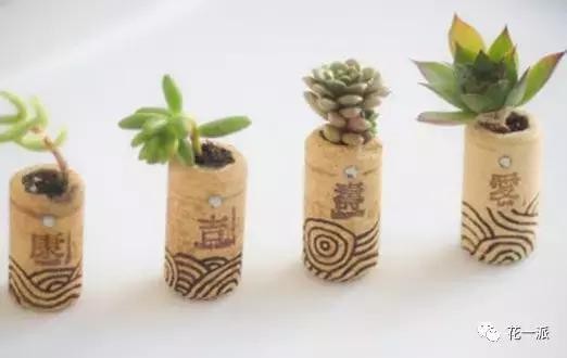 DIY绿植丨迷你植物冰箱贴！让绿色占领你家厨房的制高点~