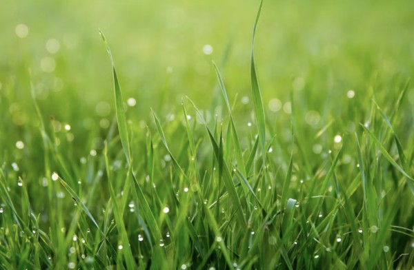 ©️深响原创 · 