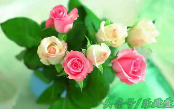 50条实用生活小常识 有文化 好好呀 省钱省时省力气（值得收藏）