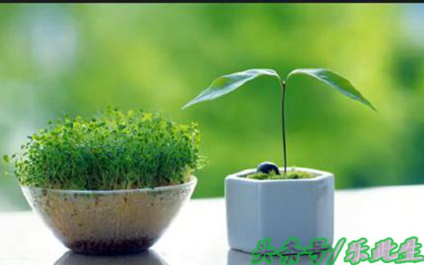 50条实用生活小常识 有文化 好好呀 省钱省时省力气（值得收藏）