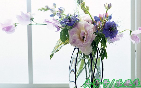 50条实用生活小常识 有文化 好好呀 省钱省时省力气（值得收藏）