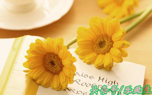 50条实用生活小常识 有文化 好好呀 省钱省时省力气（值得收藏）