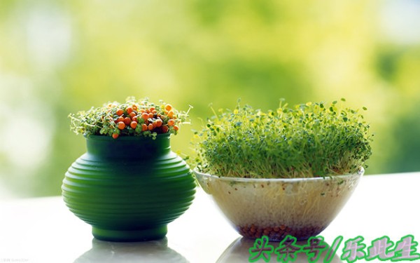 50条实用生活小常识 有文化 好好呀 省钱省时省力气（值得收藏）