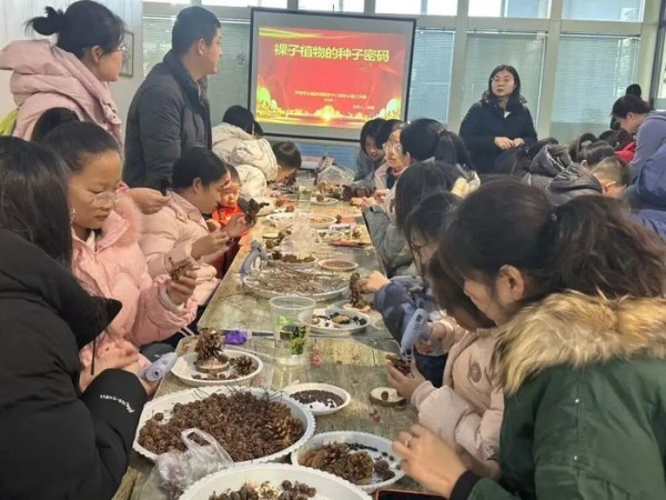 元旦首日，济南9个公园景区“新”意满满，开启活力新年