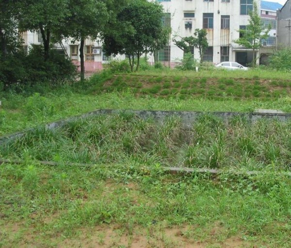 安顺农村生活污水处理设备定制