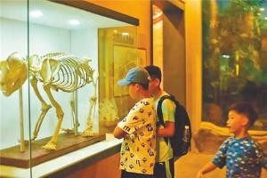 漫游蜂桶寨自然博物馆，踏寻大熊猫足迹