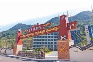 访千年苗医 寻万年苗药