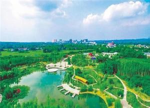 与夏相约 寻竹赏竹