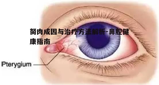 五、胬肉患者饮食调理