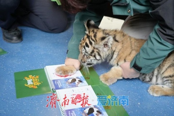 多元体验激发假日新活力 假期第二天济南市30家景区累计接待游客59.07万人次