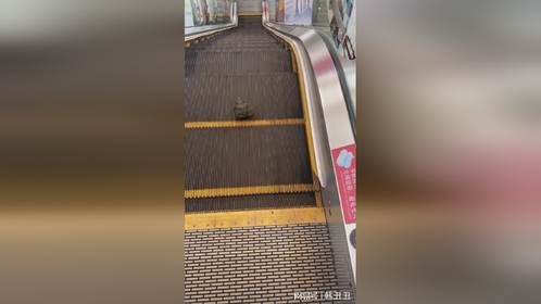 人生的路上，不是努力就会有结果的，比如说它